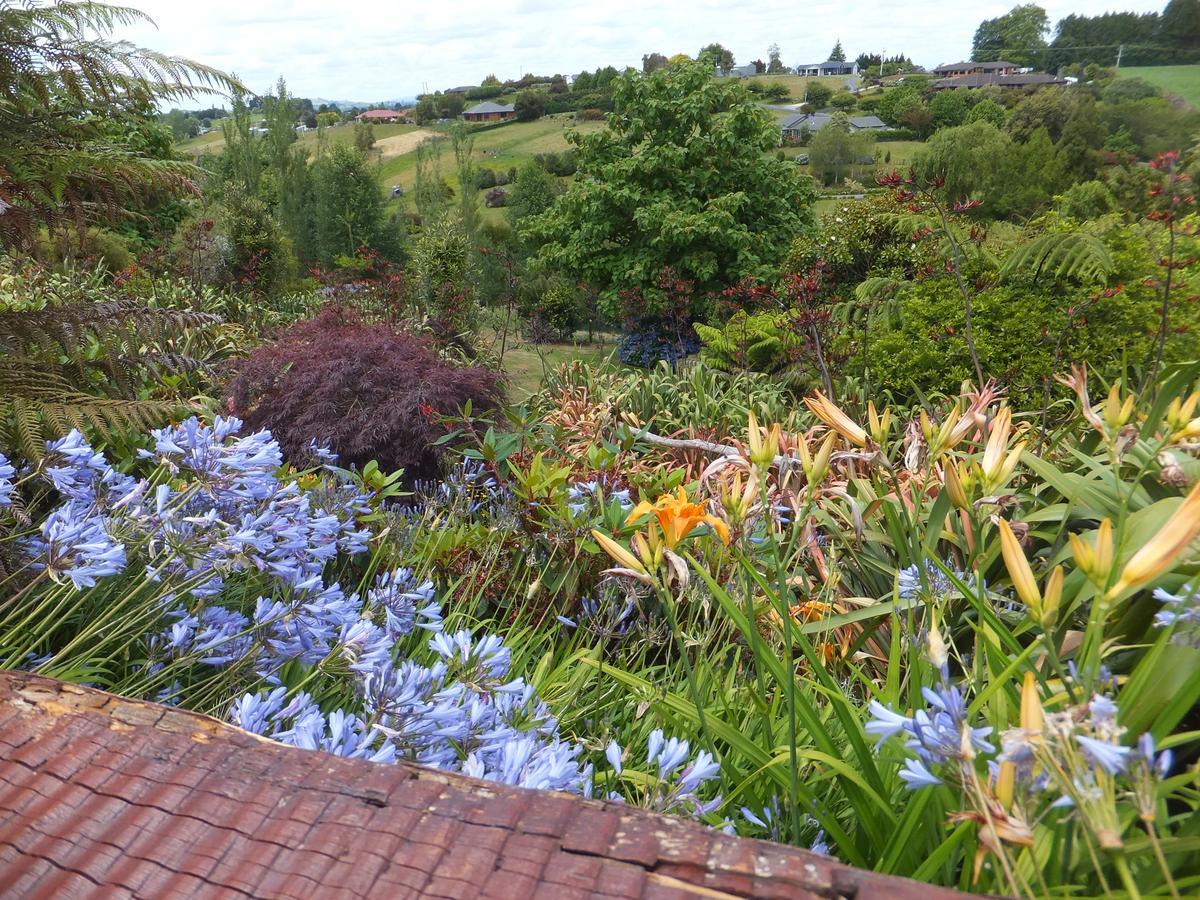 Waitomo Golfstays B&B Otorohanga Kültér fotó